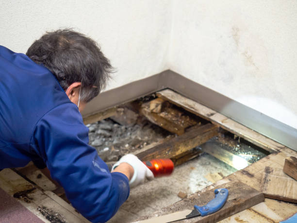 Best Mold Remediation for Schools in Garrett, TX