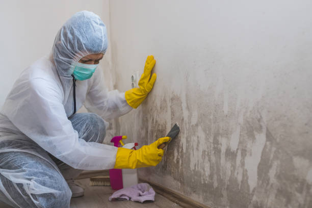 Best Bathroom Mold Remediation in Garrett, TX