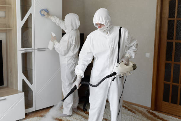 Best White Mold Remediation in Garrett, TX