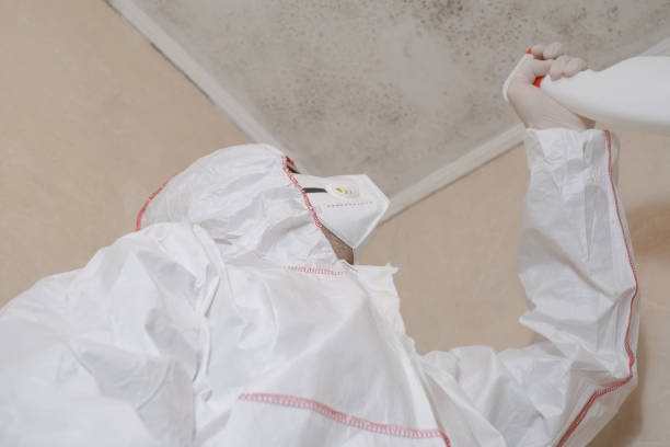 Best Mold Remediation for Specific Building Types in Garrett, TX