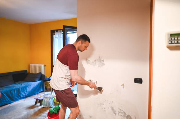 Reliable Garrett, TX Mold Remediation Solutions